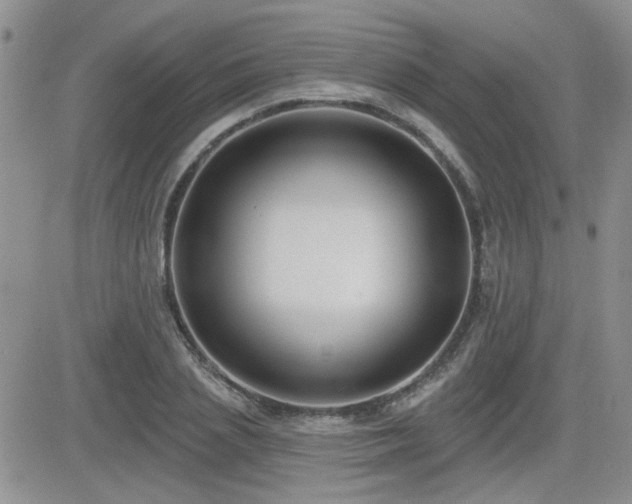 X0000082680837200701261153