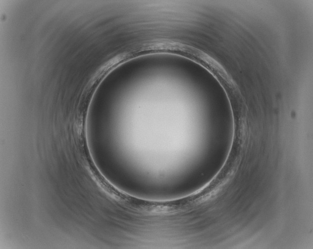 X0000082680841200701261153