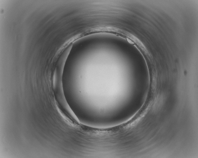 X0000082680849200701261154