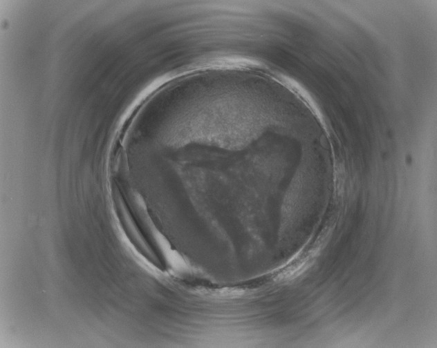 X0000082680851200701261154