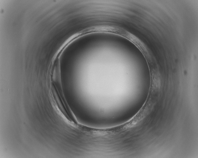 X0000082680852200701261154