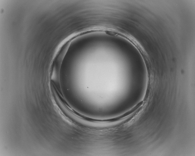 X0000082680854200701261154