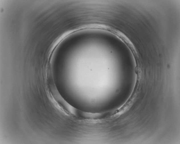 X0000082680860200701261154