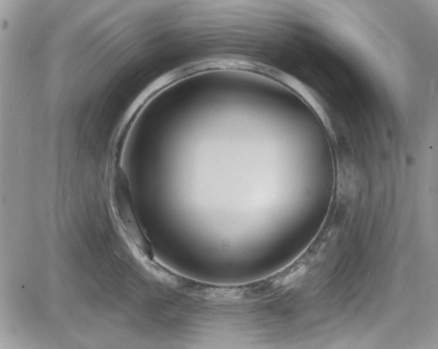 X0000082680861200701261154