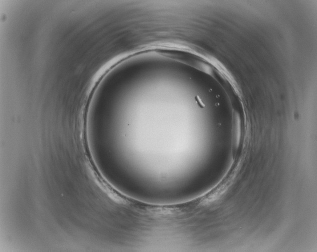 X0000082680862200701261154