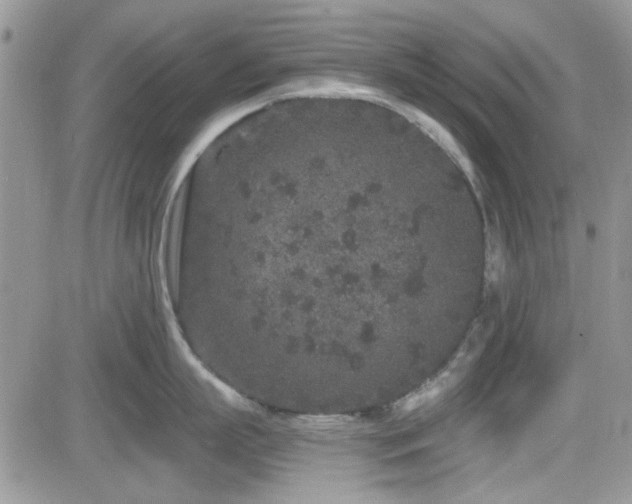 X0000082680863200701261154