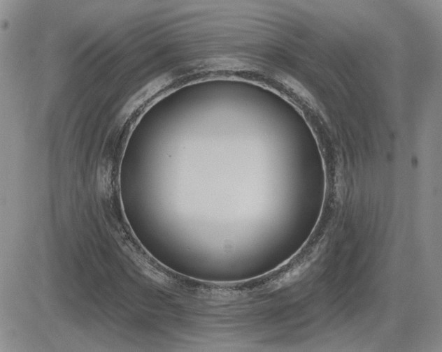 X0000082680873200701261153