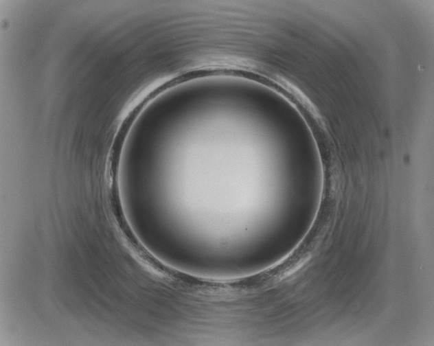 X0000082680885200701261153
