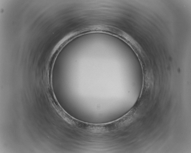 X0000082680886200701261153