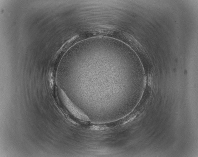 X0000082680915200701261151