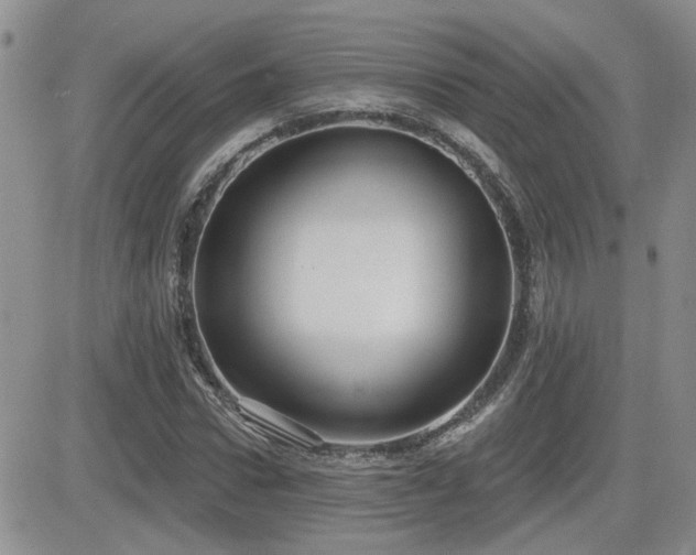 X0000082680922200701261152