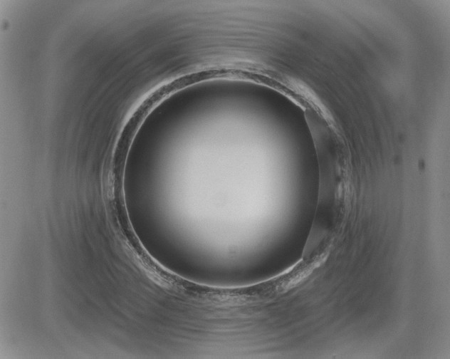 X0000082680924200701261152