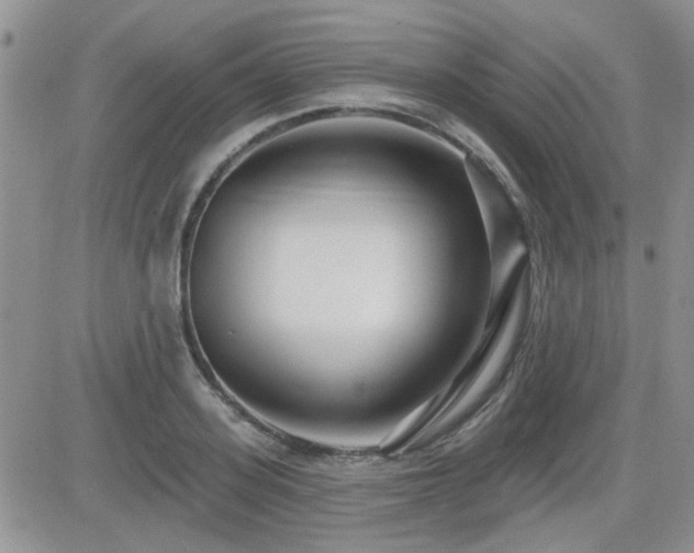 X0000082680939200701261152