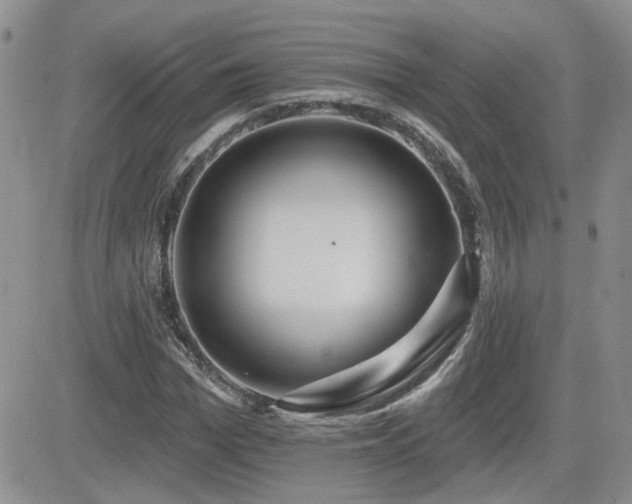 X0000082680969200701261151