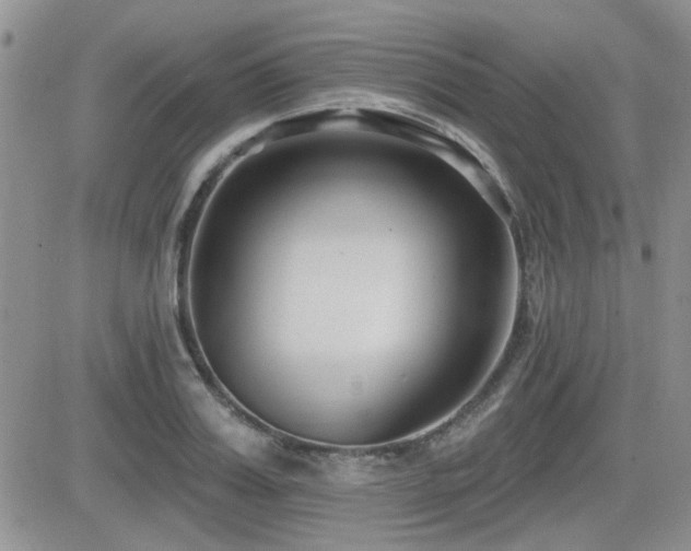 X0000082680987200701261151
