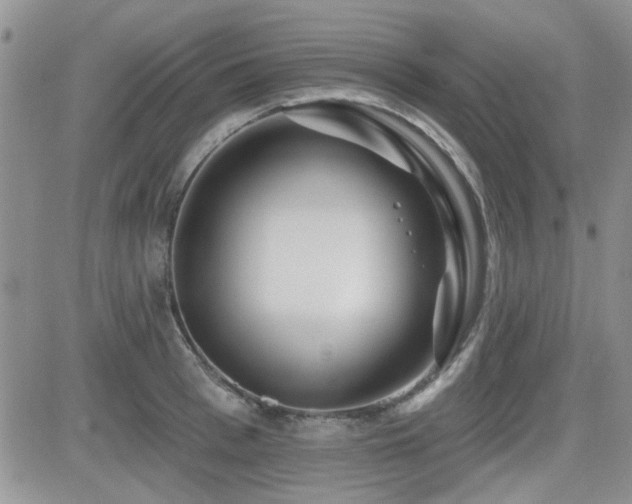X0000082680993200701261151