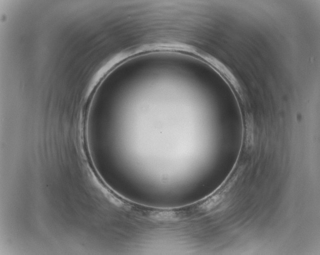X0000082681006200701261151
