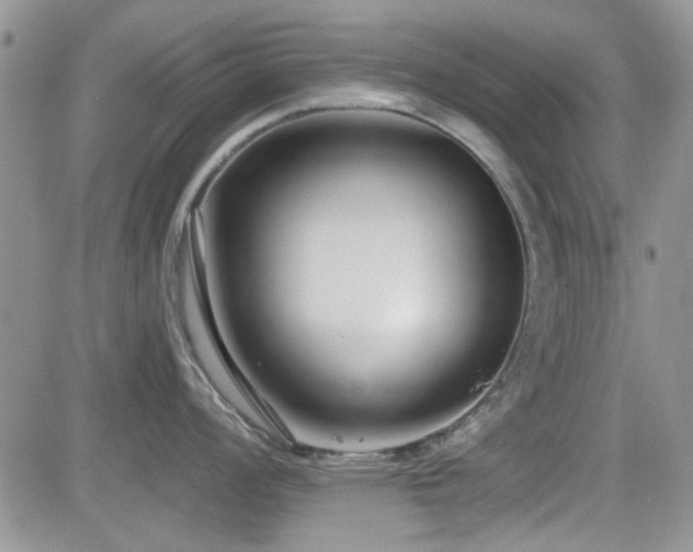 X0000082681008200701261151