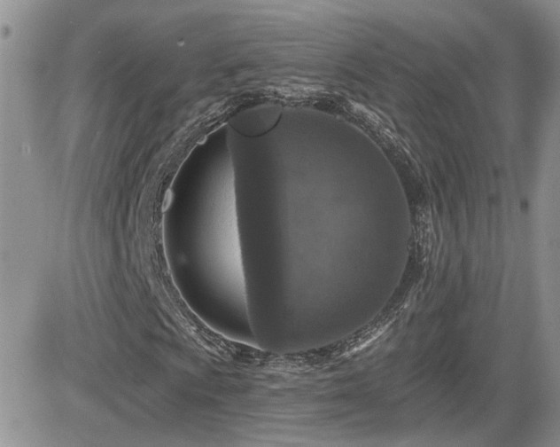 X0000082681009200701261150