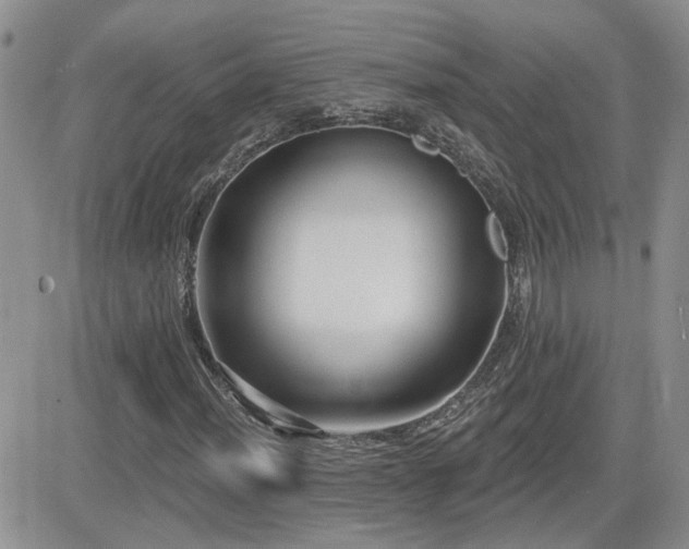 X0000082681012200701261150