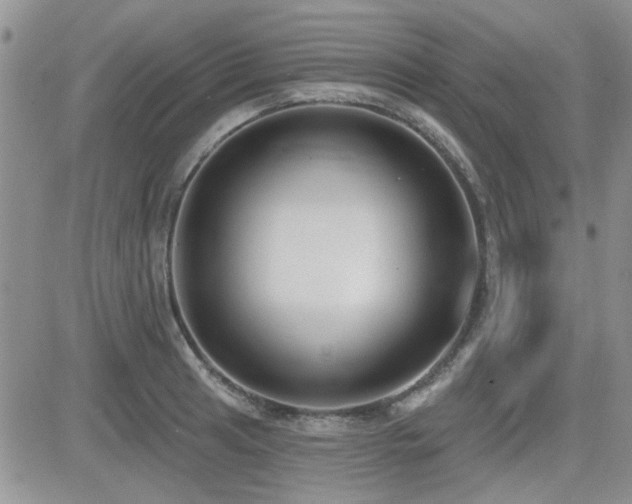 X0000082681041200701261150