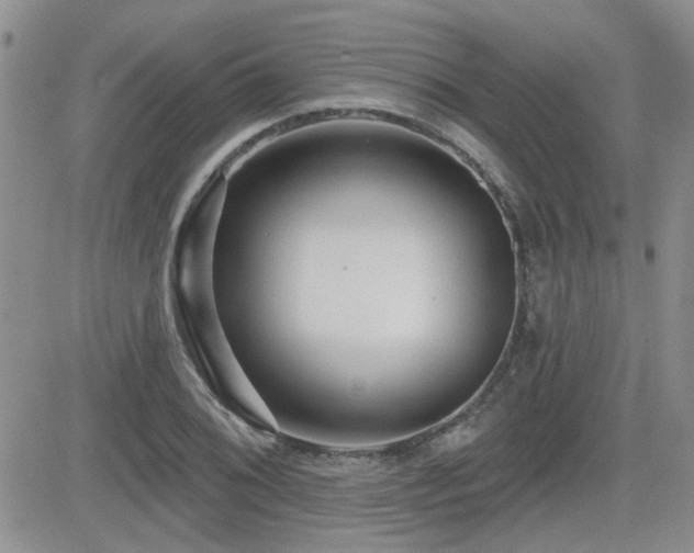 X0000082681076200701261150