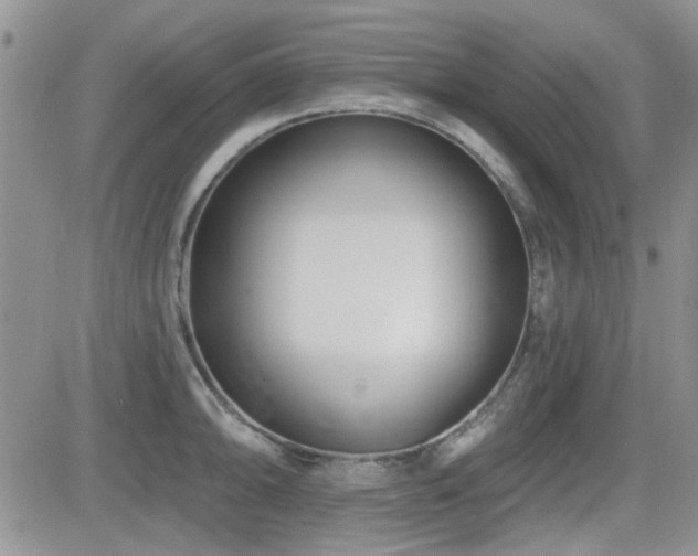 X0000082681094200701261149