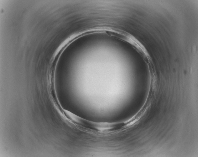 X0000082681101200701261149