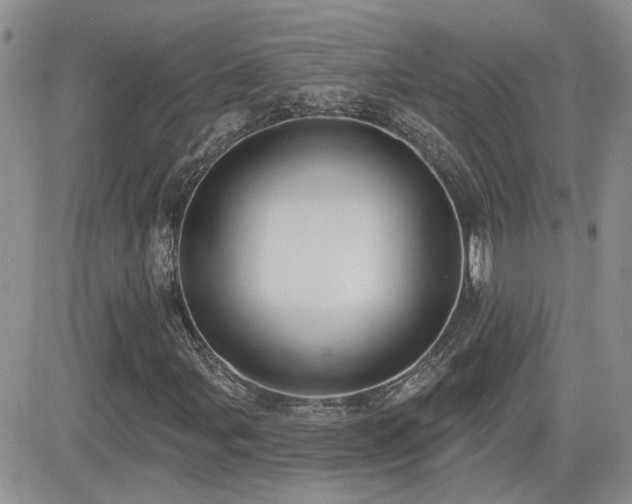 X0000082681107200701261148