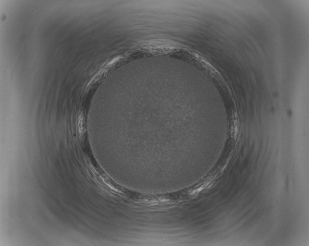 X0000082681108200701261148