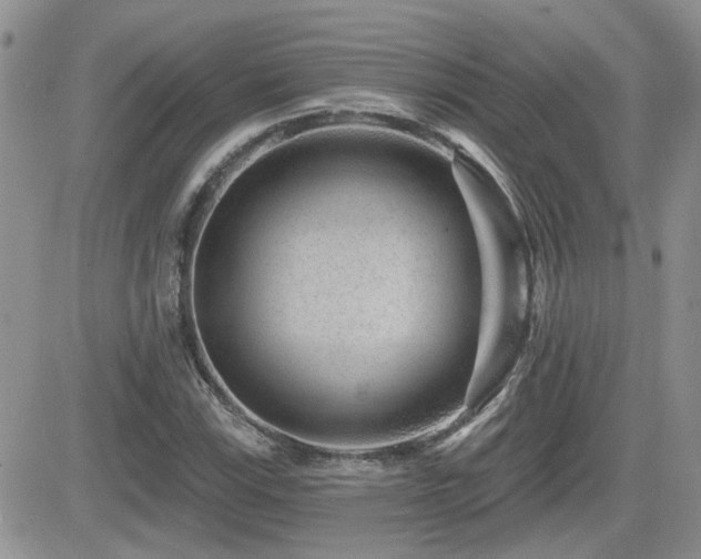 X0000082681115200701261148