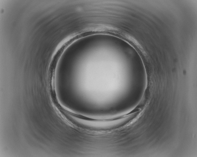 X0000082681122200701261149