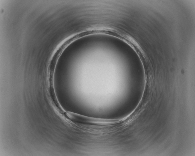 X0000082681124200701261149