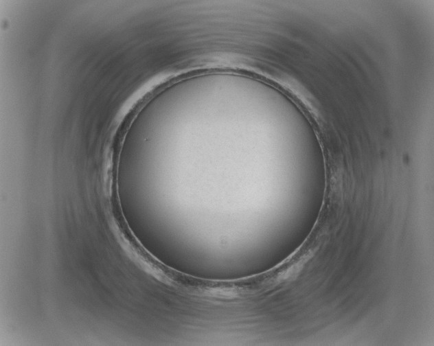 X0000082681126200701261149