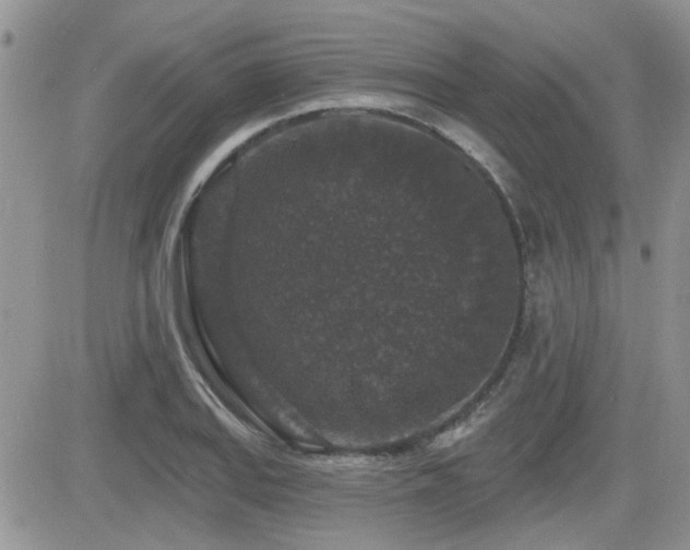 X0000082681127200701261149