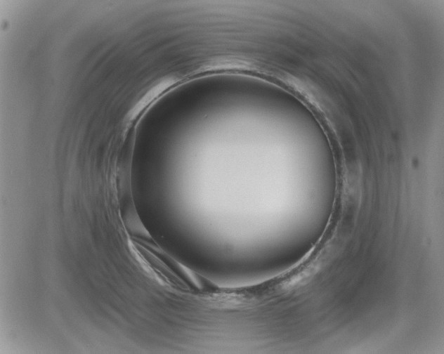 X0000082681137200701261149