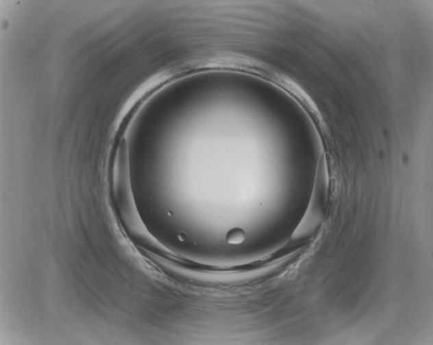 X0000082681138200701261149