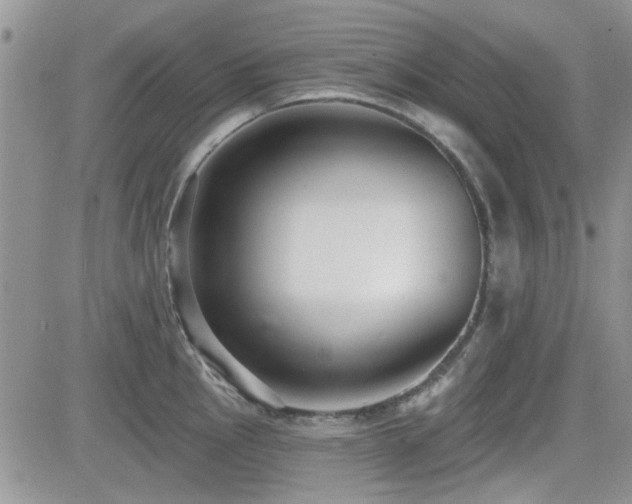 X0000082681145200701261149