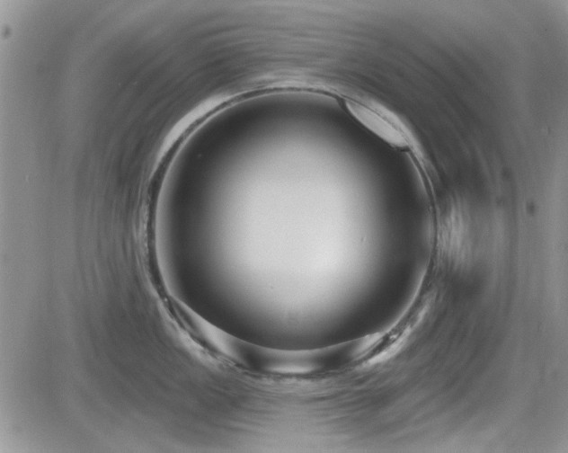 X0000082681149200701261149