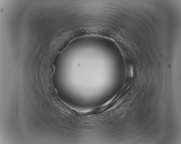 X0000082681153200701261148