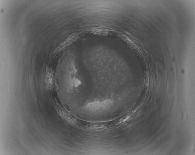 X0000082681154200701261148