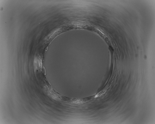 X0000082681155200701261148