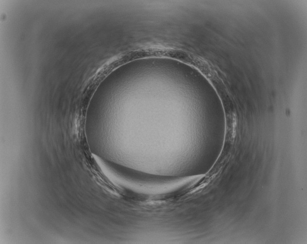 X0000082681157200701261148