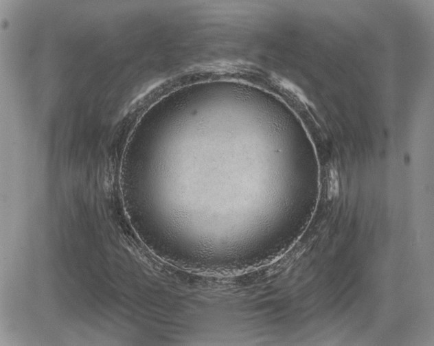 X0000082681158200701261148