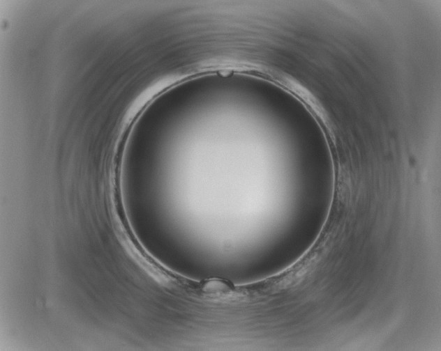 X0000082681187200701261148