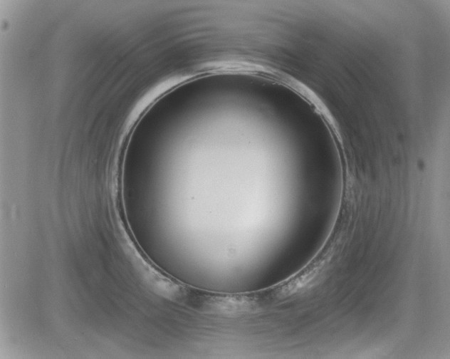 X0000082681195200701261148