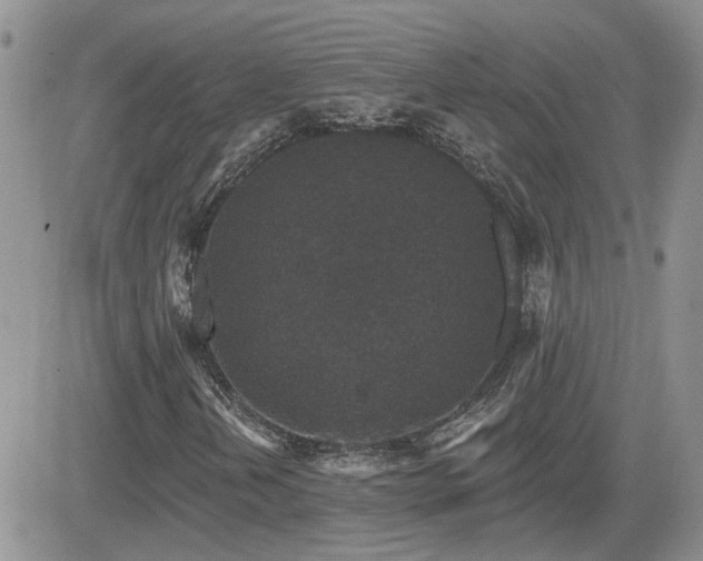 X0000082681202200701261147