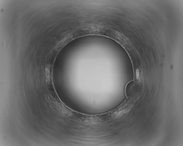 X0000082681203200701261147