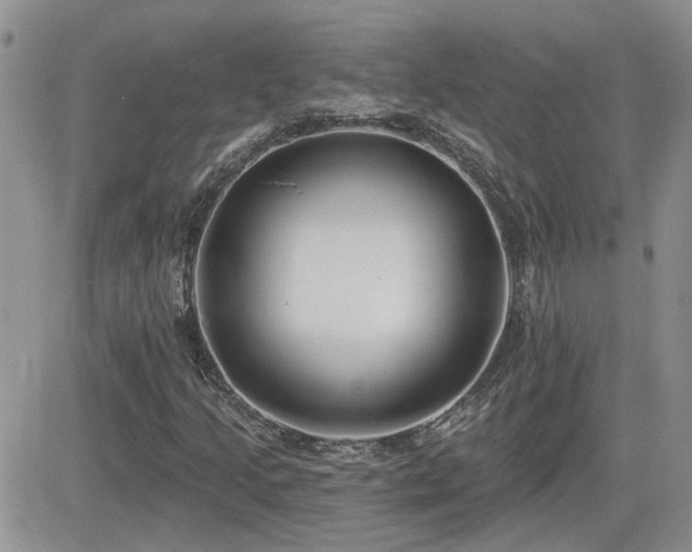 X0000082681205200701261147