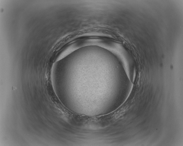 X0000082681206200701261147